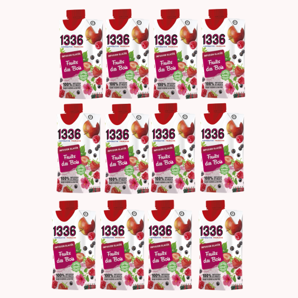 Pack Infusion Glacée Fruits des Bois (x12)